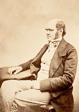 Darwin en The Origin