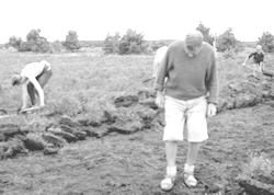 Jaap inspecteert het geplagde veld