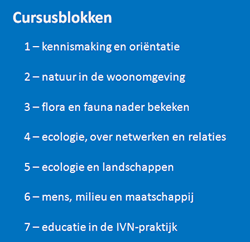 Curusblokken 1999