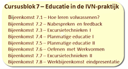 Blok 7 structuur